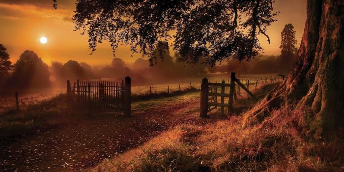 2560x1440 Autumn In Ireland wallpaper - 1423978