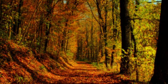 2560x1600 Wallpapers | HD Desktop and Mobile Wallpapers