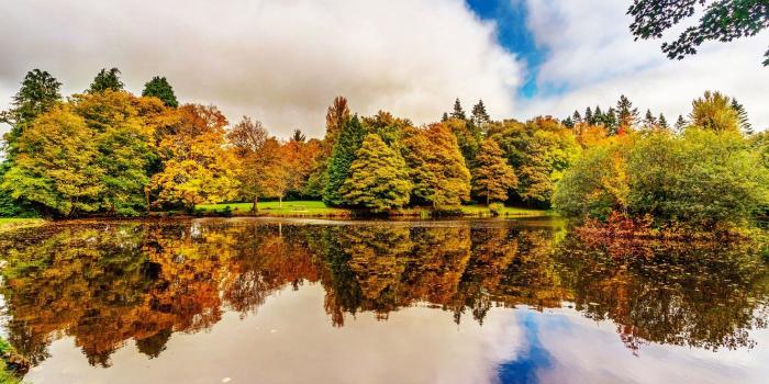 1332x850 Wallpaper autumn, trees, reflection, river, garden, Ireland, Botanic