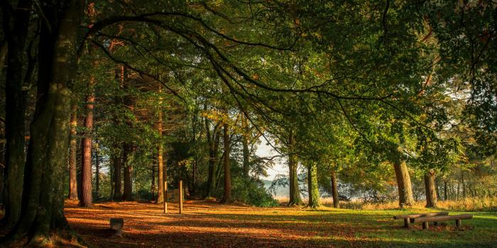 3840x2160 Autumn in Ireland Wallpapers - Top Free Autumn in Ireland