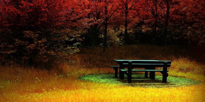 1024x768 Nature: Fire Autumn, desktop wallpaper nr. 37492