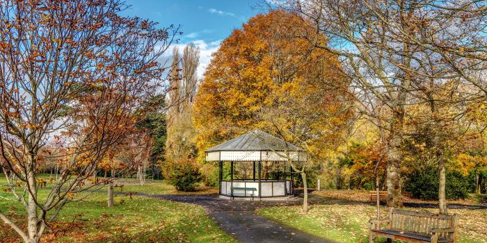 3840x2400 Wallpaper Nature Bench Ireland Botanic Gardens Leaf Autumn 3840x2400