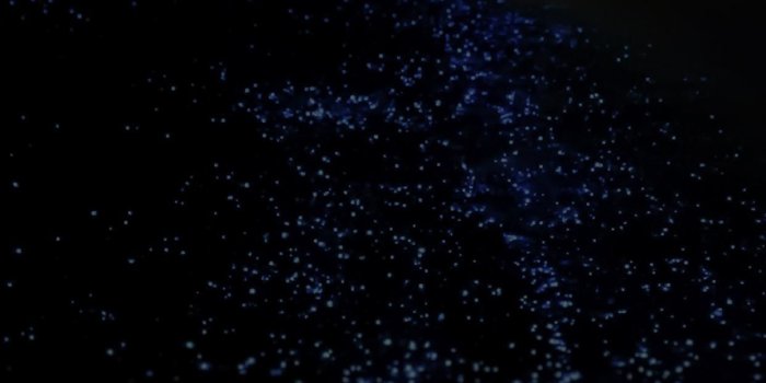 1242x2208 72+ Night Ocean Wallpapers on WallpaperPlay