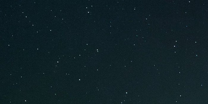 750x1334 cafa4992 Ania Niewolna on Nature in 2019 | Black wallpaper