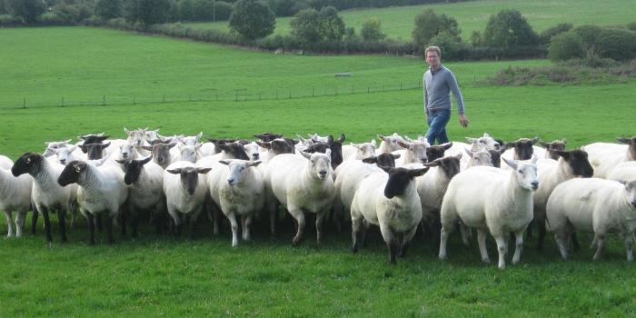 2048x1536 Ireland in Autumn with Shay | Intertravcorp