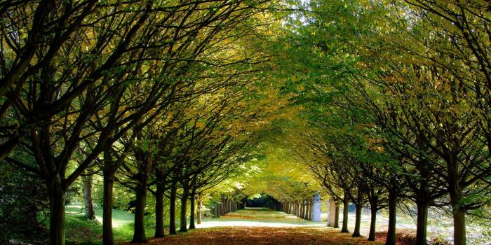 1920x1080 Hd 16 - - Autumn Uk (#1030153) - HD Wallpaper Download