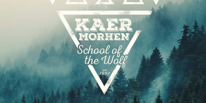 1200x1800 Kaer Morhen School Of The Wolf Wallpaper | Dungeons and dragons in