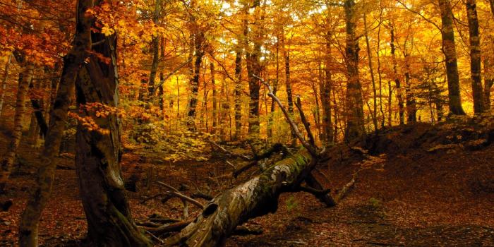 1920x1200 Ireland Pictures wallpaper | 1920x1080 | #84115