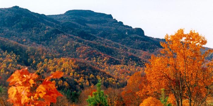 1366x768 Forests: Trees Clouds Forests Nature Sunset Irish Green Ireland