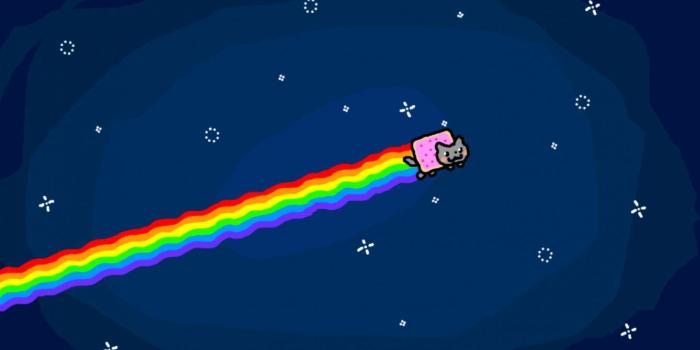 1339x810 Funny Flying Cat Desktop Wallpaper | Wallpapers Desk