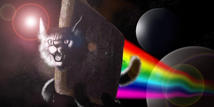 2000x1200 Nyan Cat HD desktop wallpaper : Widescreen : High Definition