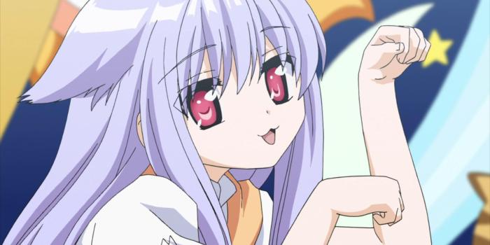 1920x1080 HD wallpaper: anime girls, neko ears, pantyhose, supreme, cat girl