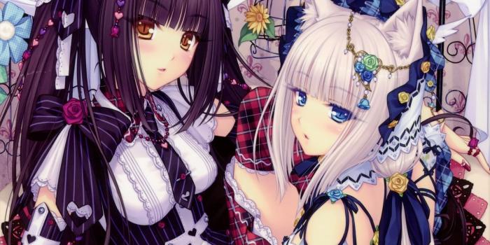 1920x1200 HD wallpaper: anime girls, neko ears, pantyhose, supreme, cat girl