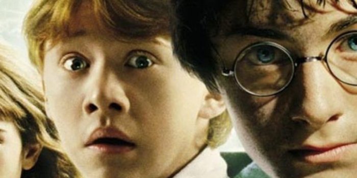 768x1024 Harry Potter And The Chamber Secrets Ronald Weasley Hermione Granger