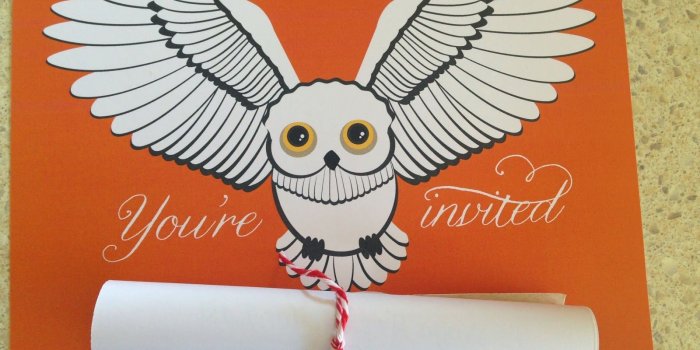 1600x1200 Clairey Hewitt: The Harry Potter Birthday Party