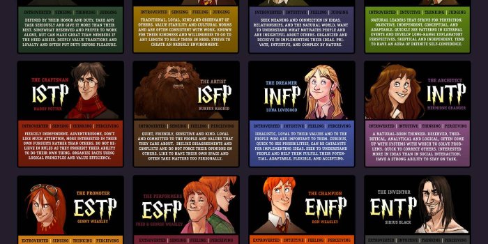 1280x1597 The Harry Potter Myers-Briggs Chart : Infographics