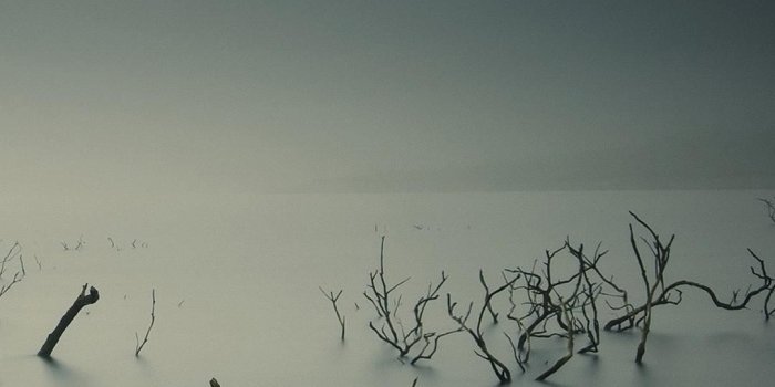 1080x1920 FHD wallpapers on Status bar shadow Full HD wallpapers for