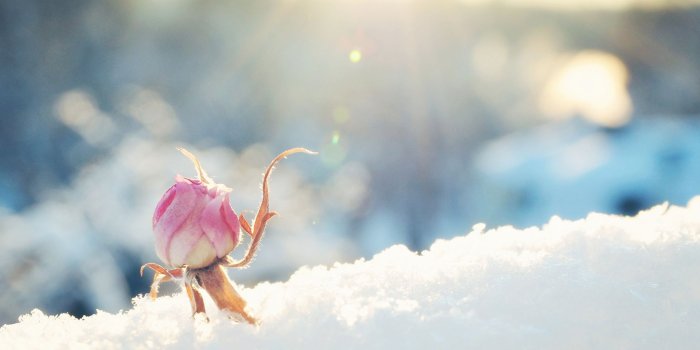1920x1200 Cindy Romero on Winter at the Farmhouse ❄️⛄️ | Winter