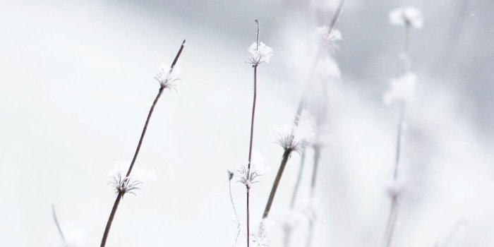 1080x1920 Winter Snow Wallpapers | iPhone Wallpaper in 2019 | Snow wallpaper