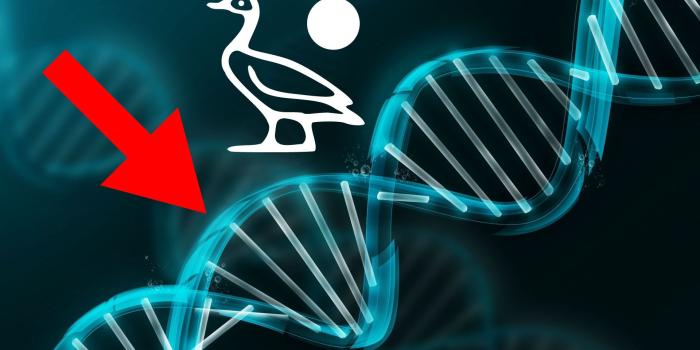 1920x1080 SCP-4515 - SCP Foundation