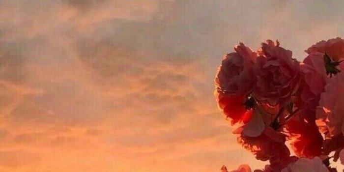 719x1278 Carisma Ureta on Wallpaper in 2019 | Flower wallpaper