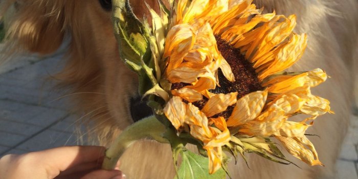 1280x1280 334 images about Animals 