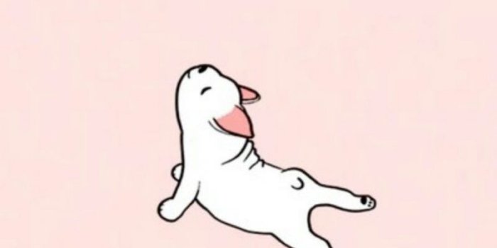 800x1280 Free download Cute Dog Stretching Wallpaper art Pinterest [1080x1841