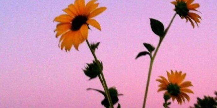 750x1175 Image about tumblr in vermilion pink by Vivian