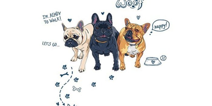 1000x1000 Amazon.com: EdC DIY 3 Walking Dogs Wall Stickers, Removable