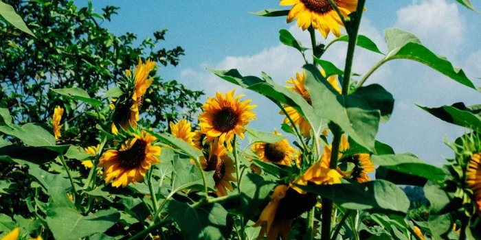 1000x1506 pics:) | 18 best free pic, building, outdoor and background photos