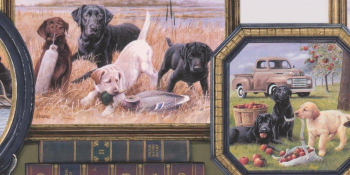 1000x1000 Retro Dogs in Framed Pictures Vintage Prepasted Wallpaper Border