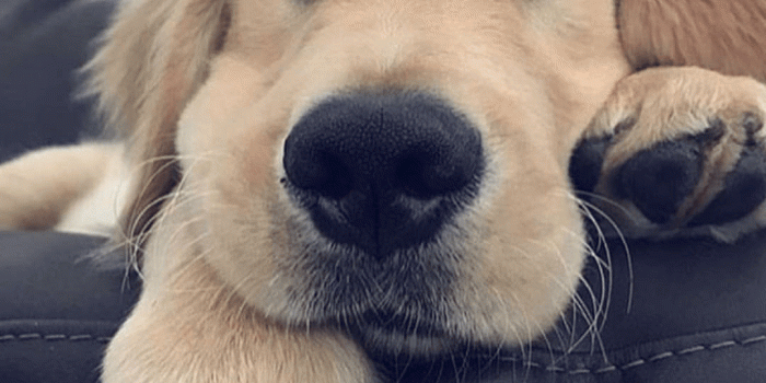 1080x1059 85 images about 