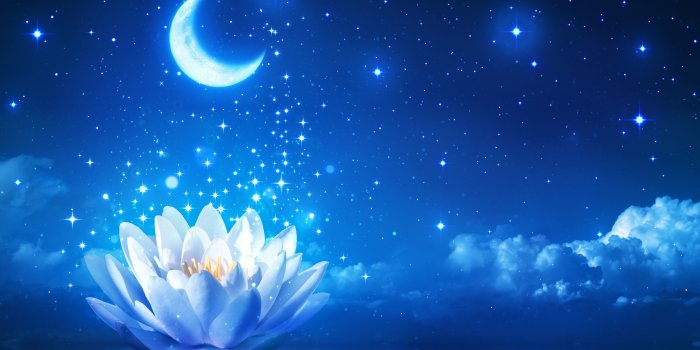 5371x3869 2944975 moon sky night lotus flowers stars wallpaper and background