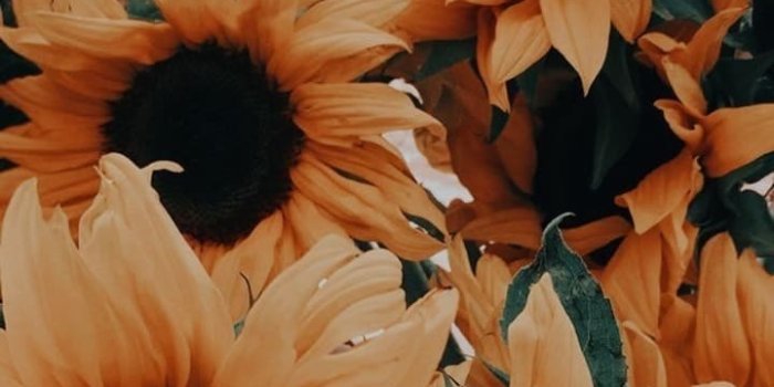 720x1280 Aesthetic Wallpaper discovered by Donut on We Heart It