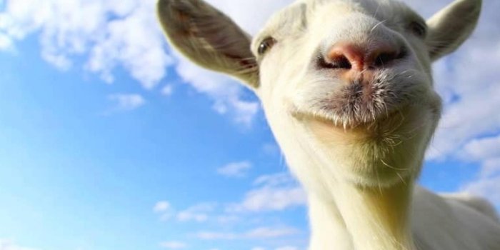 1920x1200 Goat Simulator Wallpapers - X482XY2 - 4USkY