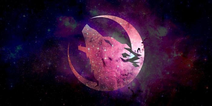 2480x1395 80+ Galaxy Wolf Wallpapers on WallpaperPlay