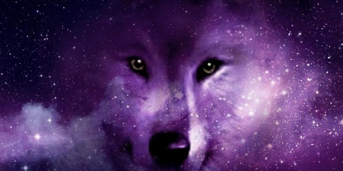 1024x910 Galaxy Wolf Wallpapers