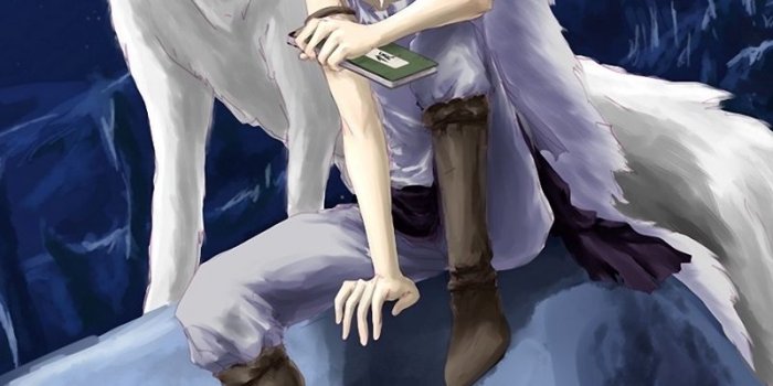 800x1280 Download wallpaper 800x1280 аnime, boy, wolf, night, book samsung