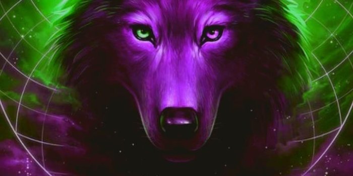 720x1280 29+] Black Wolf Galaxy Wallpapers on WallpaperSafari