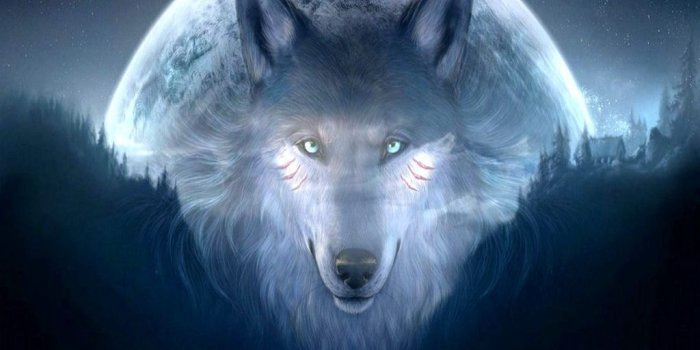 1024x768 Wolf galaxy wallpaper Download Wolf galaxy wallpaper Free Cool
