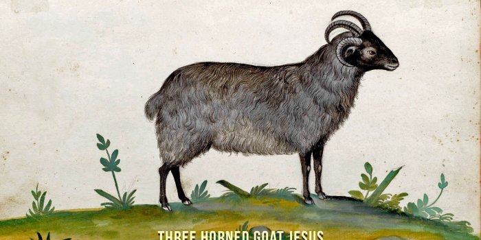 1920x1080 Goat Simulator Wallpapers PC #E1678S1 - 4USkY