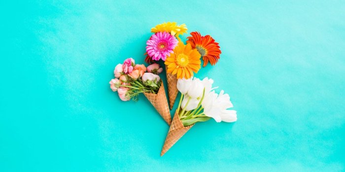 1100x733 9 Brand New Desktop and Smartphone Wallpapers for Spring | Brit + Co