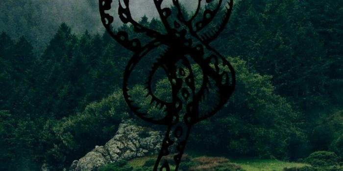 1080x1919 Pin adăugat de Alexandra pe harry potter | Fundaluri, Idei tatuaje