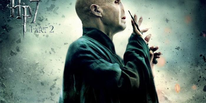 1920x1200 HD wallpaper: harry potter lord voldemort bellatrix lestrange death