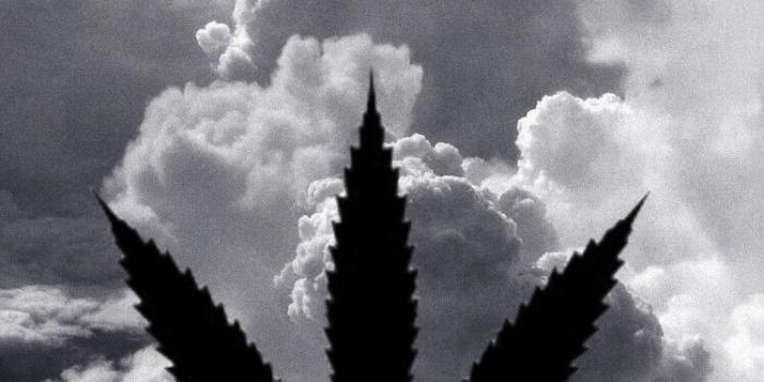 750x1332 Lisa Simpson Stoned Wallpaper - Lisa Simpson Stoned (#534070) - HD