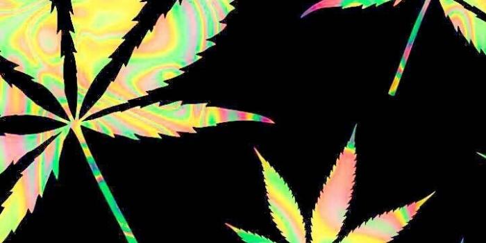 720x1280 Sharon Leblanc on MariJay in 2019 | Marijuana wallpaper, Weed