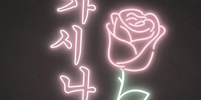 750x1334 Funny Wallpapers For Iphone Lock Screen - (68+) Group Wallpapers