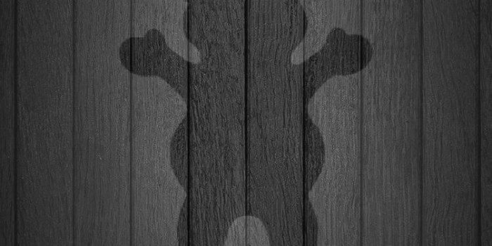 750x1334 Grizzly Griptape Wallpaper XISTmade - LiftedMiles #GrizzlyGriptape