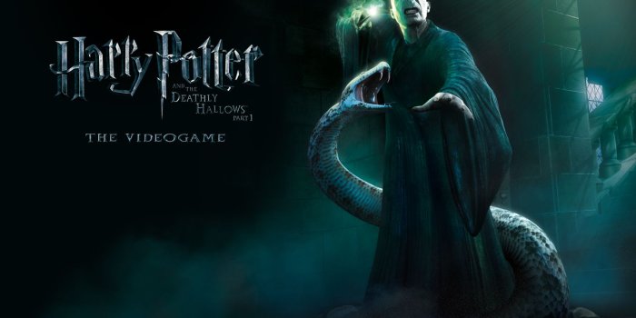 1600x1200 74+] Voldemort Wallpapers on WallpaperSafari