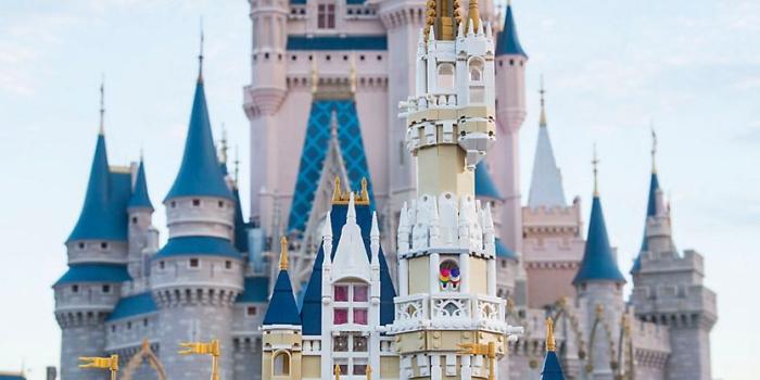 834x1500 The Disney Castle